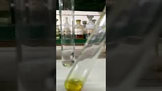 Test for phenolic group Neutral Ferric chloride test [upl. by Yoreel]