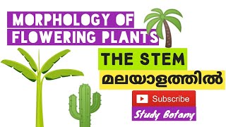 THE STEM MODIFICATION REGIONS MORPHOLOGY OF FLOWERING PLANTS PLUS ONE BIOLOGY MALAYALATHIL NCERT [upl. by Kavanaugh]