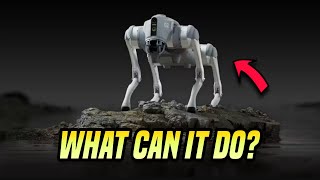 Exploring Robotic Capabilities Unleashing the Power of Robot Dogs with Unitrees Insights [upl. by Iggam]