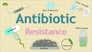 Antibiotic Resistance Mechanism  Bacterial Defense Mechanism  Basic Science Series [upl. by Anoved]