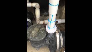 Pool pump making high pitch squealing noise Why Please help [upl. by Waine766]