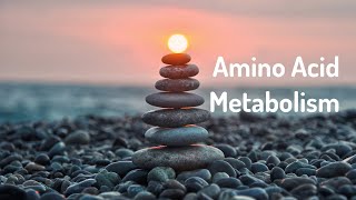 Amino Acid Metabolism Energy HealingFrequency Healing Meditation [upl. by Ahsian865]