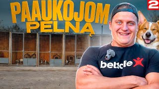 ROLANDAS Paaukojom visą pelną 2 dalis [upl. by Stillas]