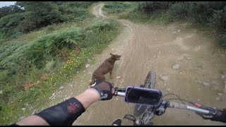 The Worlds Longest Indoor Mountain Bike Trail [upl. by Reizarf639]