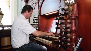 Hanno Bosch  Psalm 138  Orgel Grote of Sint Stephanuskerk Hasselt [upl. by Enyrat]