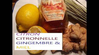 Comment préparer une infusion au GingembreCitronCitronnelle miel [upl. by Ingar576]