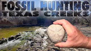 Fossil Hunting North Texas Creeks  Feb  2023 [upl. by Atneuqal]