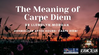 The Meaning of Carpe Diem [upl. by Nnylsia860]