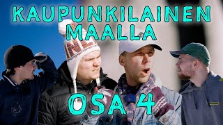 KAUPUNKILAINEN MAALLA 4  KÄYTÖSKYMPPI [upl. by Esinert]