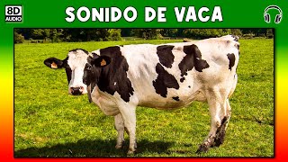 SONIDO DE VACA 🐄 [upl. by Montana]