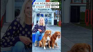 Hammerfest die nördlichste Stadt der Welt hammerfest norway norwegen reiseliebe dogs reisen [upl. by Kermit410]