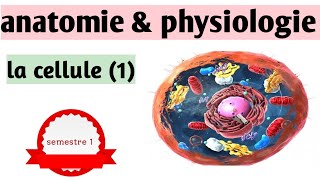 quotcours S1  Anatomie amp physiologiequot la cellule 1 [upl. by Housen]