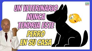 🔴 LAS DOS RAZAS DE PERROS QUE LOS VETERINARIOS NUNCA TENDRÍAN EN CASA 🐶 [upl. by Suitangi54]