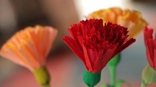 How to Make Crepe Paper Flowers [upl. by Kling]