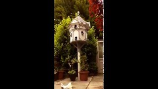 Handcrafted Garden Dovecote  Welsh Dovecotes [upl. by Mackay]