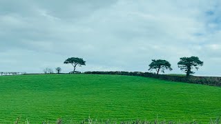 Derry City To Ulster American Folk Park Road Trip [upl. by Yeliah736]