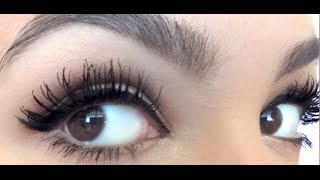 Perfect Mascara Routine for Huge Long Lashes [upl. by Fern949]