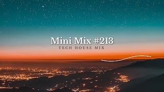 Tech House Mix  Mini Mix 213  Mixed By PTek [upl. by Catherin]