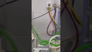 Neonatology  Nicu [upl. by Husch]