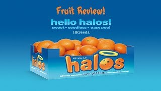 ⟹ Halos Mandarin Oranges  Citrus reticulata  Fruit Review [upl. by Rowen]