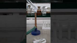 Ammonium molybdate test for Phosphate ion [upl. by Raul]