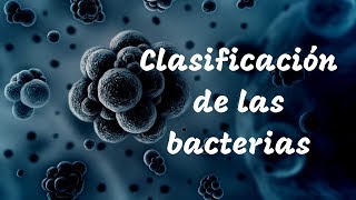 CLASIFICACIÓN DE LAS BACTERIAS [upl. by Daryn603]