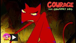 Courage The Cowardly Dog  Cajun Fox  Cartoon Network [upl. by Eduam]