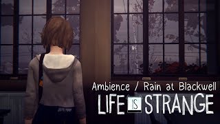 Rainy School Ambience  Life Is Strange [upl. by Aihsemot]