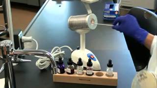 How to Prepare a Bacterial Smear for Gram Stain [upl. by Eissehc]