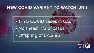 CDC reports JN1 COVID19 subvariant spreading quickly [upl. by Malory]