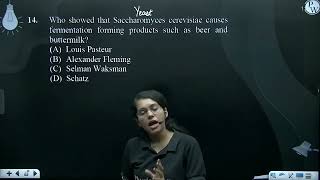 Who showed that Saccharomyces cerevisiae causes fermentation forming products such as beer and b [upl. by Behn766]