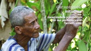 Madagascar  our sustainable engagement short version [upl. by Ivett956]