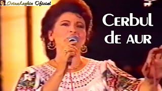 IRINA LOGHIN  Recital Cerbul de Aur Brasov 1994🔝 [upl. by Nitsug]