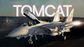 Why was the F14 Scrapped  Grumman F14 Tomcat [upl. by Draner323]