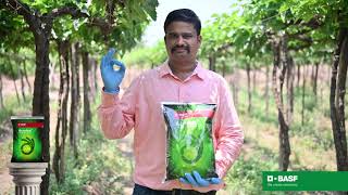 BASF ॲक्रोबॅट  शेतकरी अनुभव आमचा विश्वास आमचा अभिमान आमचा साथीदार BASF Acrobat Grape Fungicide [upl. by Nera]