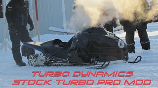 New Turbo Dynamics Pro mod build crazy fast still stock turbo stock motor [upl. by Ativla]