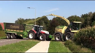 Maïs 2024  3x Steyr tractors met Krone TX460 silagewagen  Krone 630  Munsters  Maize harvest [upl. by Scheers]