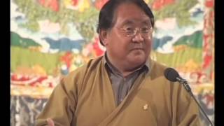 Sogyal Rinpoche  Discovering who we really are [upl. by Aryahay]