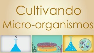 Cultivando Microrganismos  CurtaMicro [upl. by Yaras]