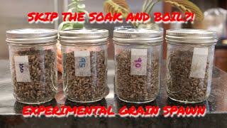 Grain Spawn without Soaking and Boiling An Experiment to Find Out if itll Work Part 1 of 2 [upl. by Narmi]