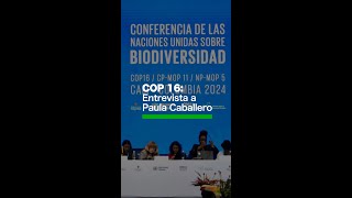 COP16 “Lo que hagamos para proteger la biodiversidad va a redundar en temas de cambio climático” [upl. by Kristel]