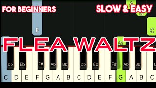 FLEA WALTS  FLOHWALZER   SLOW amp EASY PIANO TUTORIAL [upl. by Ramma]