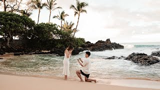 Proposing to my best friend in Hawaii [upl. by Schellens]