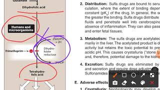 Quinolones and Folate Antagonist Part 2Last [upl. by D'Arcy478]