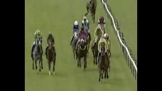 Horse Racing Death 125  Stormfield at Southwell Racecourse [upl. by Darla]