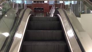 Schindler Escalators At Court Of The South Phipps Plaza In Atlanta GA [upl. by Yelreveb]