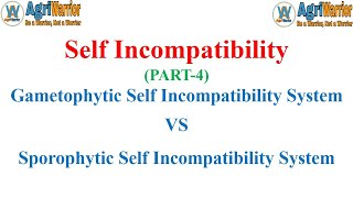 Gametophytic Self Incompatibility vs Sporophytic Self IncompatibilitySelf Incompatibility PART4 [upl. by Jerrol308]