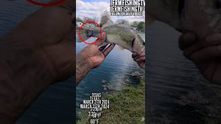 I CAUGHT A ZOMBIE BASS 😨😯 shorts fishing [upl. by Sigismondo865]