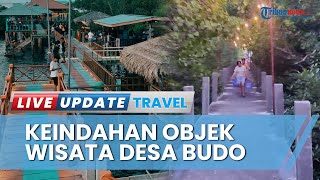 Keindahan Objek Wisata Hutan Mangrove Desa Budo Gerbang Alternatif Menuju Bunaken Favorit Traveler [upl. by Eigna]