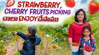 Strawberry cherry fruits picking చాలా enjoy చేసాము  Telugu Vlogs  Exploring World with Rima [upl. by Ameekahs]